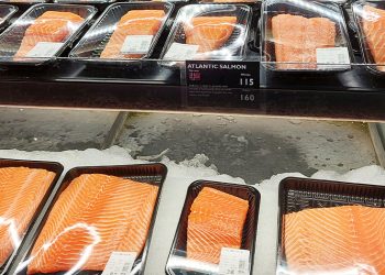 China rompe récords: supera a Polonia y absorbe más de 4.000 toneladas de salmón noruego