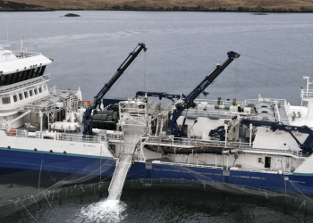 Mowi refuerza su operación en Escocia con el mayor barco de pozo en funcionamiento