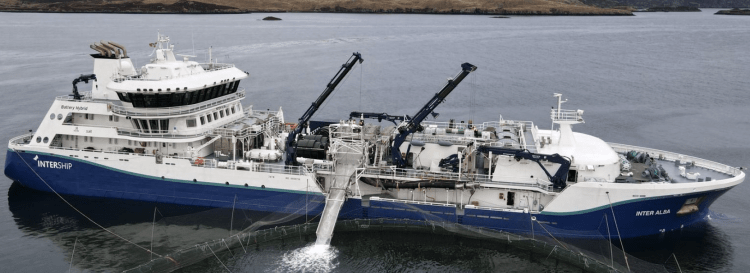 Mowi refuerza su operación en Escocia con el mayor barco de pozo en funcionamiento
