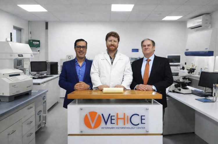 Innovación vegetal revoluciona la salmonicultura en AquaSur 2026
