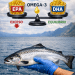 El límite del EPA: el salmón necesita equilibrio —y no exceso— de omega-3 en su dieta