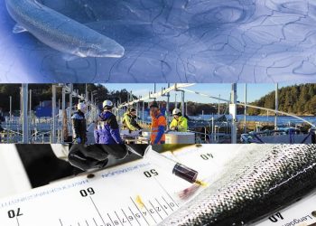 Noruega logra producción récord en 2025 pese a restricciones: El «bypass» al sistema de semáforo