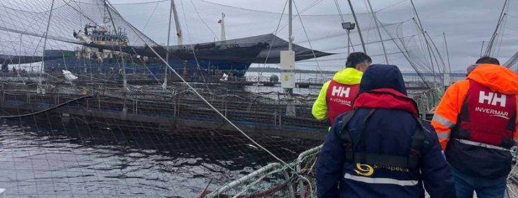 Invermar activa protocolos sanitarios tras detectar evento de mortalidad residual en centro Traiguén II