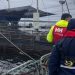 Invermar activa protocolos sanitarios tras detectar evento de mortalidad residual en centro Traiguén II