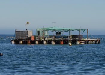 Producción en Aysén y Magallanes se dispara un 40% mientras la Región de Los Lagos retrocede