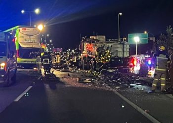Accidente en Ruta 5 Sur involucra camión de transporte de alevines. Foto: cedida