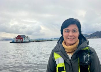 Noruega: Mortalidad en salmones cae a sus niveles más bajos en años y se situa en 14,2%