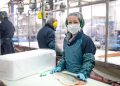 Certificación acuícola marca récord: casi 8.000 mejoras impulsan estándares globales en 2025