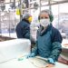 Certificación acuícola marca récord: casi 8.000 mejoras impulsan estándares globales en 2025