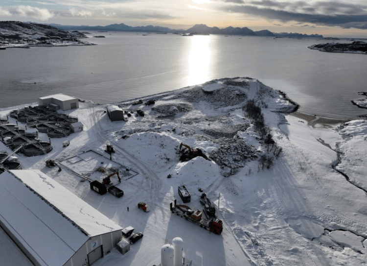 Pure Salmon Technology liderará construcción de nueva planta RAS en Noruega