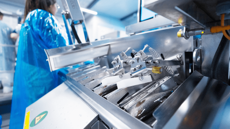 Tecnología NFT: Automatización de la vacunación de peces alcanza hitos de eficiencia en Chile