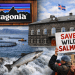 Marca outdoor entra al debate: Islandia cuestiona injerencia extranjera en su nueva Ley de Acuicultura