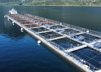Copec, Luxmeter y Ventisqueros impulsan solución energética renovable para centros salmoneros aislados