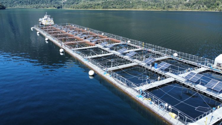 Copec, Luxmeter y Ventisqueros impulsan solución energética renovable para centros salmoneros aislados