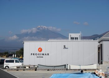 Proximar proyecta sus resultados para el 2026
