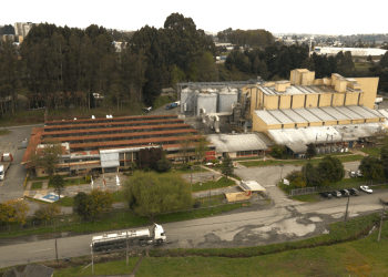 Skretting Chile marca hito histórico: Planta Osorno es la primera del país con certificación RCX en el 100% de sus líneas