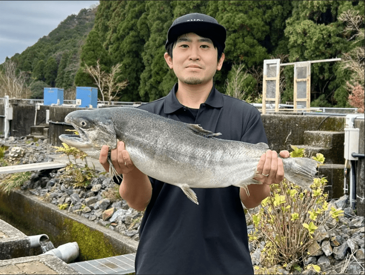 Startup japonesa logra hito productivo: cosechan los primero ejemplares de salmón japonés de 4kg resistentes al cambio climático