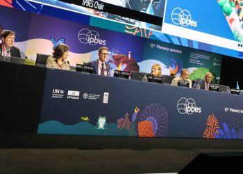 Chile se posiciona en pacto global que redefine el vínculo entre economía y biodiversidad