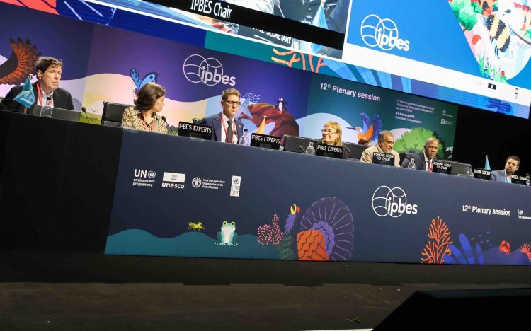 Chile se posiciona en pacto global que redefine el vínculo entre economía y biodiversidad