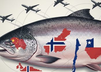 China redefine el mapa del salmón: Noruega gana impulso en Asia y desafía la competitividad chilena