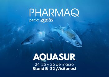 PHARMAQ llega a AquaSur 2026 con apuesta sanitaria integral y PHARMAQademy en Puerto Varas
