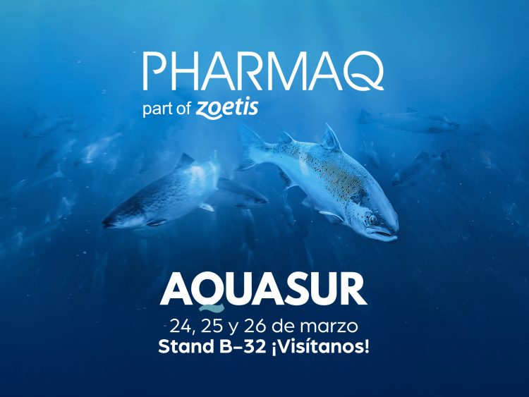 PHARMAQ llega a AquaSur 2026 con apuesta sanitaria integral y PHARMAQademy en Puerto Varas