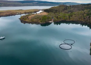 Universidad de Stirling revela claves moleculares del piojo del salmón