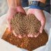 Nuevos estándares globales endurecen exigencias sobre el alimento en la acuicultura