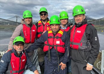 Entre fiordos de Aysén y centros en Las Guaitecas: Visita que reveló el motor salmonero del sur