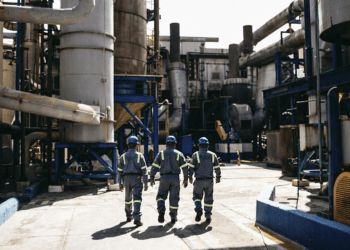 Copeinca proyecta salto al consumo humano directo tras ingreso de Cooke