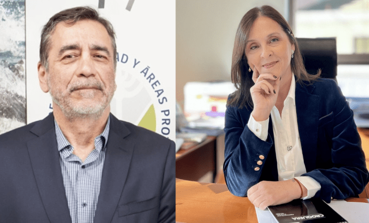 Remezón ambiental: Gobierno pide renuncia a jefes del SBAP y la SMA a días de asumir