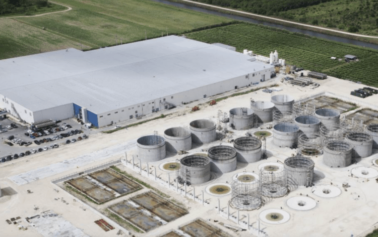 Atlantic Sapphire en crisis: Riesgo de default técnico si no asegura USD 30 millones antes del 31 de marzo