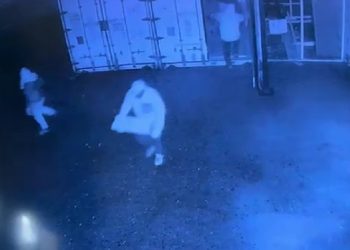 Roban más de una tonelada de salmón destinada a 23 mil estudiantes de Chiloé