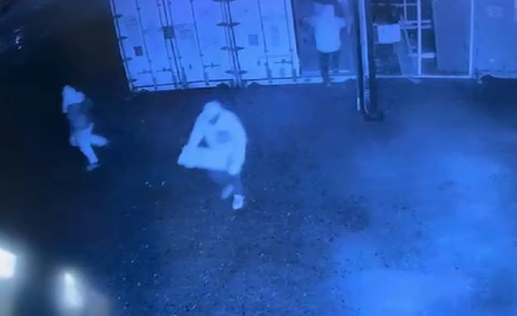 Roban más de una tonelada de salmón destinada a 23 mil estudiantes de Chiloé