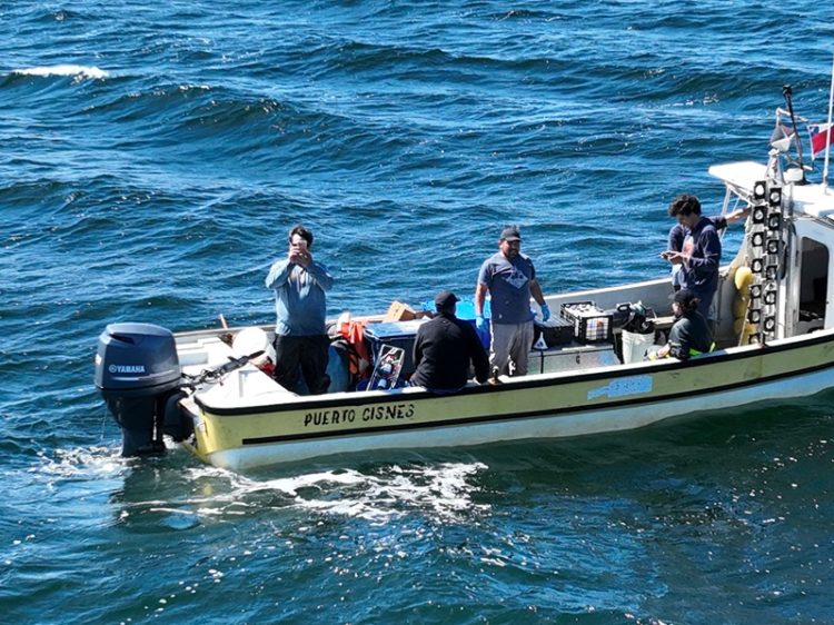 Fiordo Puyuhuapi bajo observación científica por riesgo de microalgas tóxicas