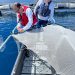 Garware apuesta fuerte en AquaSur 2026 y lanza Max Pro X18 para reforzar la protección en el mar