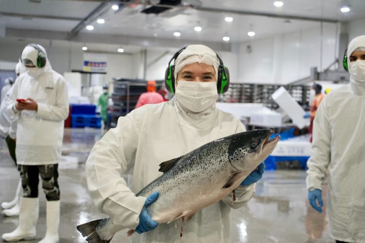 Les Toques Blanches SalmonChile