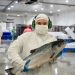 Les Toques Blanches SalmonChile