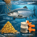 Repensar la nutrición: estudio revela que el salmón necesita menos fósforo de lo que se pensaba