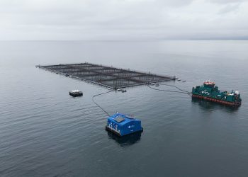 Innovación acuícola hecha en el sur de Chile: Oxzo presentará sus avances tecnológicos en AquaSur