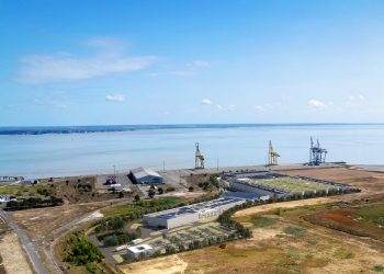 Proyecto de Pure Salmon toma impulso en Francia con aval a iniciativa de 10 mil toneladas