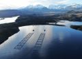 Despegue productivo en Magallanes: Subpesca autoriza subdivisión de siete concesiones salmoneras