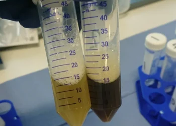 Mowi Escocias introduce monitoreo del fondo marino con ADN en centros de cultivo de salmón