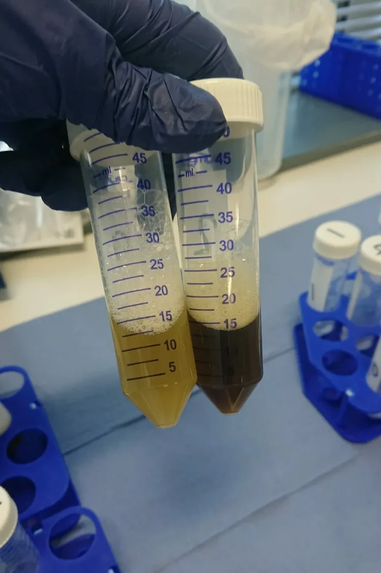 Mowi Escocias introduce monitoreo del fondo marino con ADN en centros de cultivo de salmón