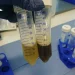Mowi Escocias introduce monitoreo del fondo marino con ADN en centros de cultivo de salmón