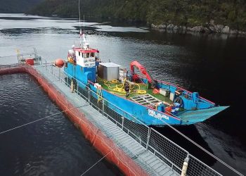 Moleaer y Semarco se asocian para reducir los costos de remediación de fondos marinos en la industria salmonera de Chile
