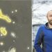 Microalga amenaza con golpear la salmonicultura y dispara riesgo de mortalidad masiva