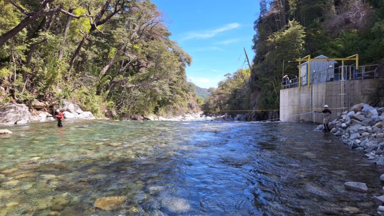 Ted Holmberg: «No basta con conocer el trámite, se requiere conocer cómo funciona una empresa salmonera»