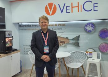 VeHiCe apuesta por la innovación tecnológica y la expansión internacional