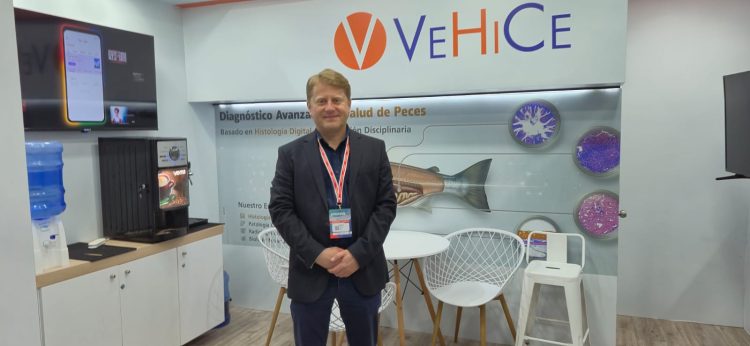 VeHiCe apuesta por la innovación tecnológica y la expansión internacional